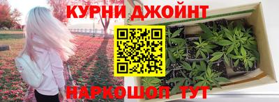 стаф Тверь
