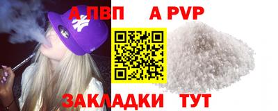 стаф Тверь