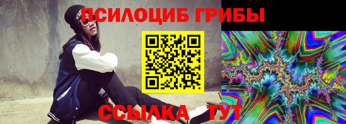 Псилоцибиновые грибы мицелий Мыски