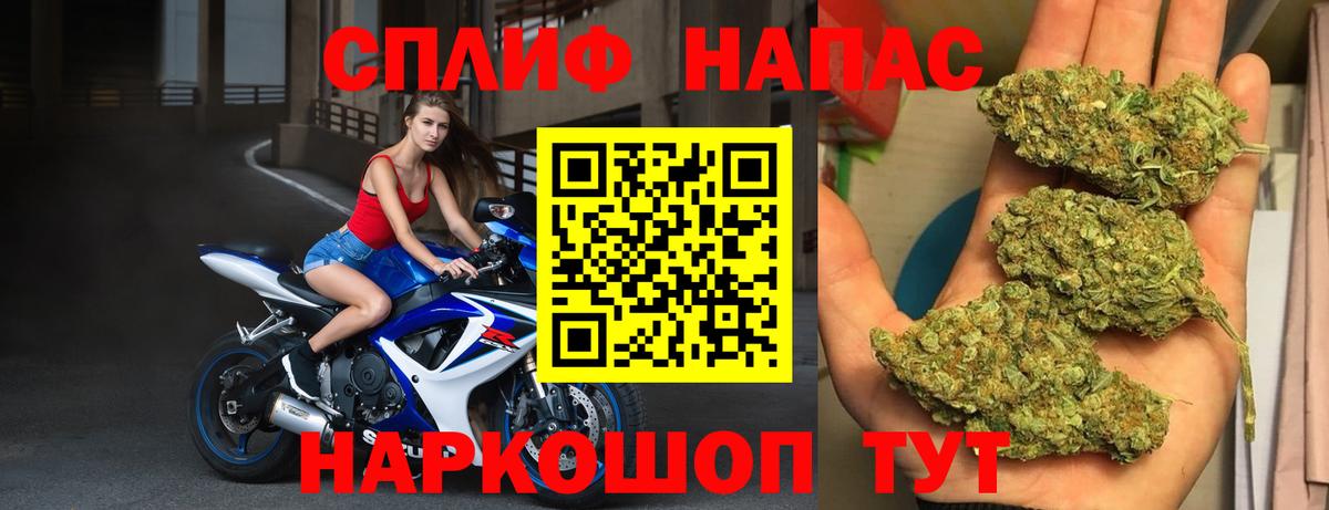 ГАШ Мыски